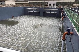 碳源的價格水漲船高，污水廠如何減少碳源投加量來降低成本？